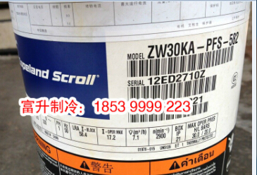 ZW30KAE-PFS-582 ZW30KAE-PFS-582